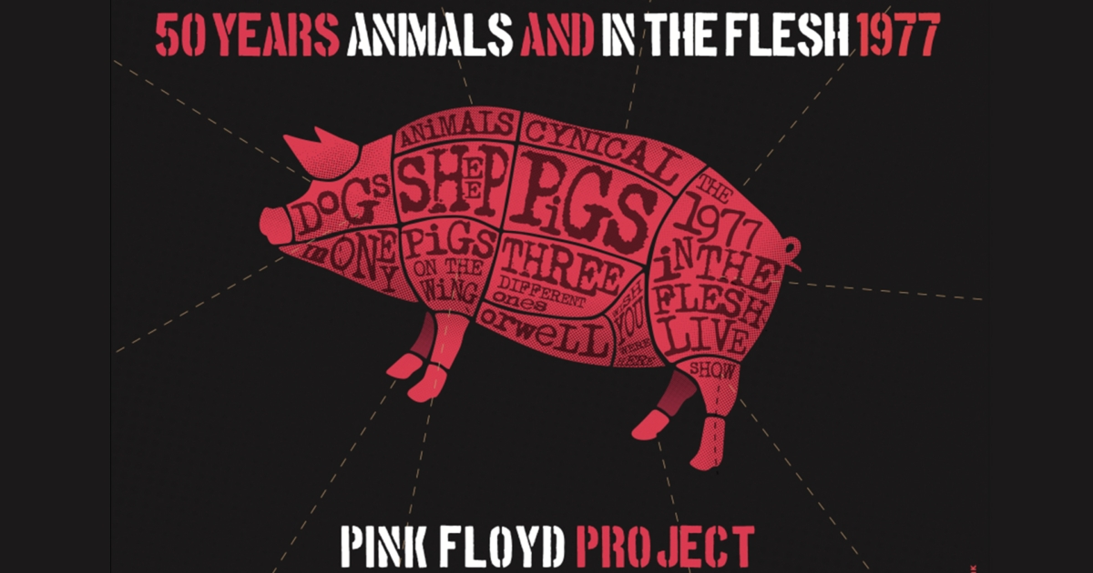 Pink Floyd Project
